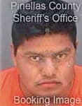 Hernandez-Cazuela Rene - Pinellas County, FL 