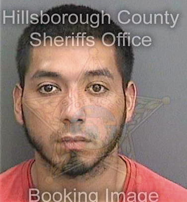 Lara Cristobal - Hillsborough County, FL 