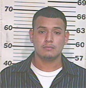 Hernandez Rolando - Hidalgo County, TX 