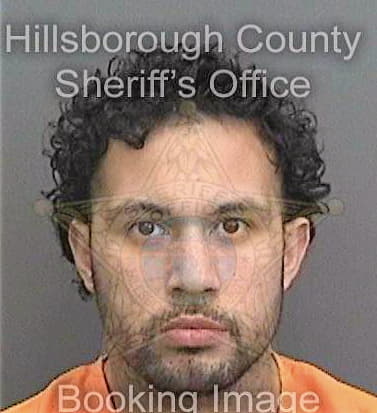 Santos Daniel - Hillsborough County, FL 