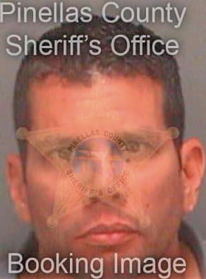 Rivera Hector - Pinellas County, FL 