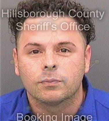 Golpe Louis - Hillsborough County, FL 