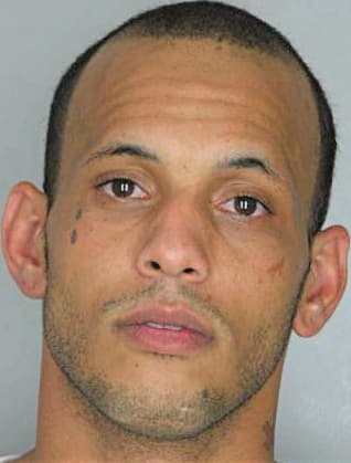 Sherman Robert - Hillsborough County, FL 