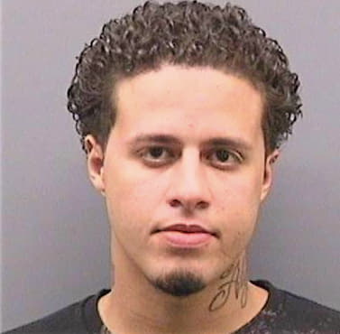 Gonzalez David - Hillsborough County, FL 