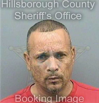 Santiagocotto Miguel - Hillsborough County, FL 