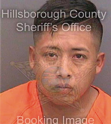 Gallegoshernandez Alfonso - Hillsborough County, FL 