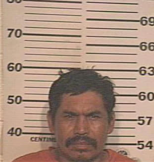 Sanchez Luis - Hidalgo County, TX 