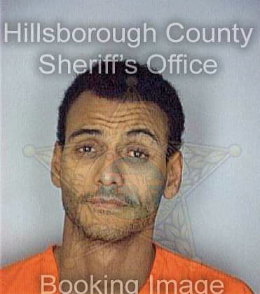 Diaz Wilfred - Hillsborough County, FL 