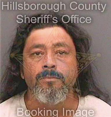 Mejia Sergio - Hillsborough County, FL 