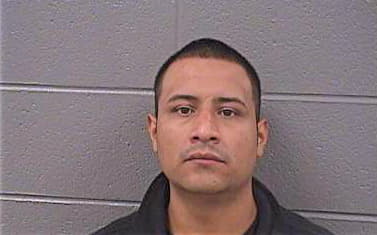 Gonzalez Fredy - Cook County, IL 