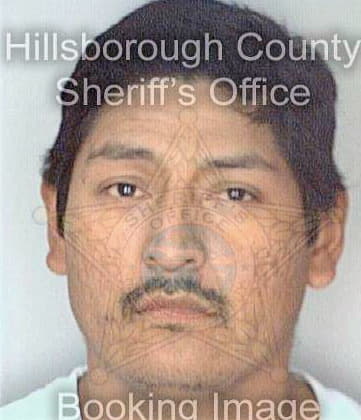 Hernandez Guillermo - Hillsborough County, FL 