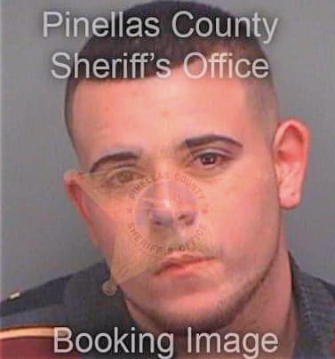 Delgadoramos Patrick - Pinellas County, FL 