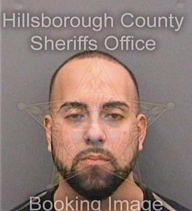 Pineda Anderson - Hillsborough County, FL 