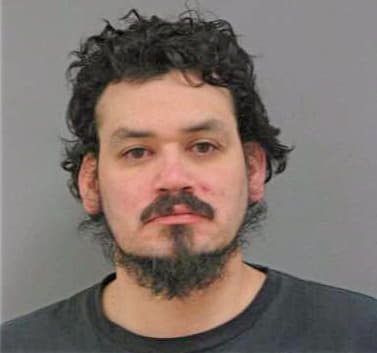 Gonzalez Erick - Winnebago County, IL 