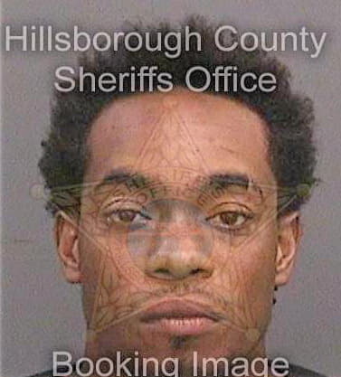 Sims Roderick - Hillsborough County, FL 