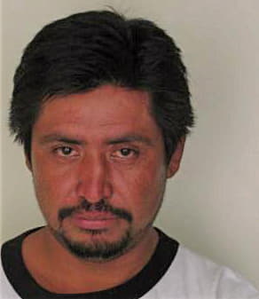 Silvaflores Santiago - Hillsborough County, FL 