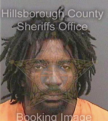 Brookins Arthur - Hillsborough County, FL 