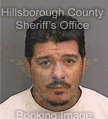 Villarreal Alberto - Hillsborough County, FL 