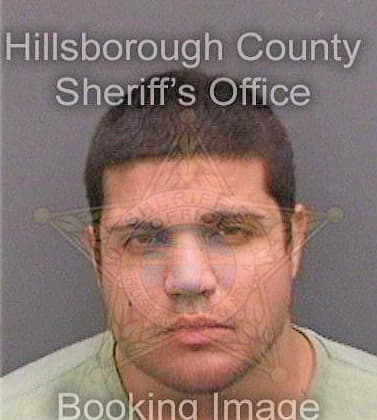 Borges Joshua - Hillsborough County, FL 