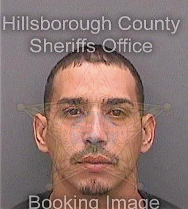 Dejesus Norberto - Hillsborough County, FL 