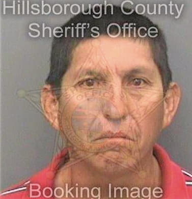 Lucas Ramiro - Hillsborough County, FL 