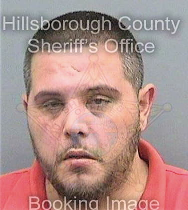 Lugo David - Hillsborough County, FL 