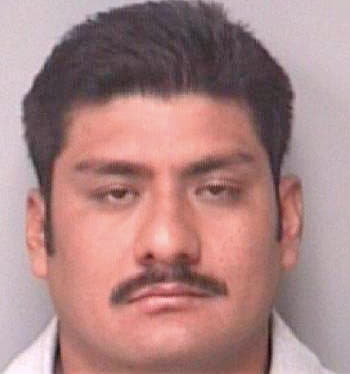 Policarpohernandez Manuel - Pinellas County, FL 