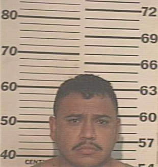 Deleon Jesus - Hidalgo County, TX 