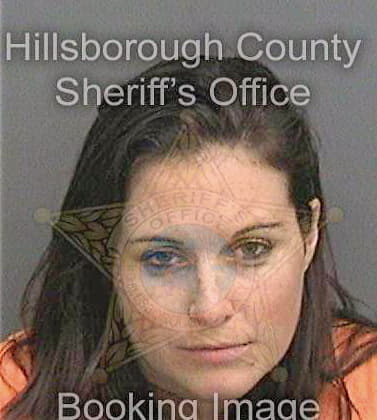 Elwell Lindsay - Hillsborough County, FL 