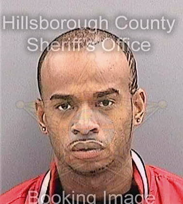 Richardson Demetrius - Hillsborough County, FL 