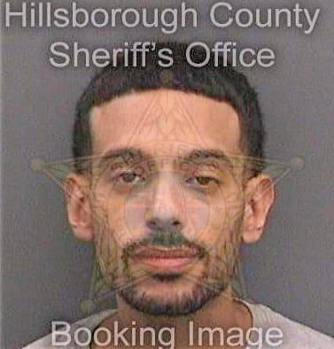 Bonilla Luis - Hillsborough County, FL 
