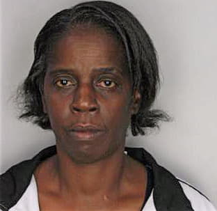 Mcintyre Clara - Hillsborough County, FL 
