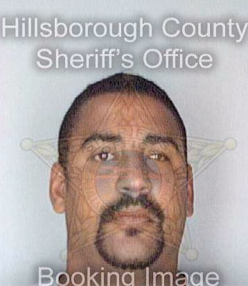 Ortiz Carlos - Hillsborough County, FL 