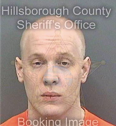 Wallace Andrew - Hillsborough County, FL 