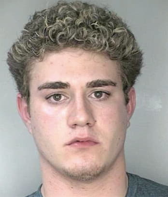 Michelotti Robert - Hillsborough County, FL 