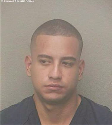 Herreradiaz Andres - Broward County, FL 