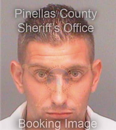 Miceli Gregory - Pinellas County, FL 