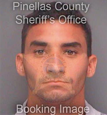 Fernandez Rolando - Pinellas County, FL 