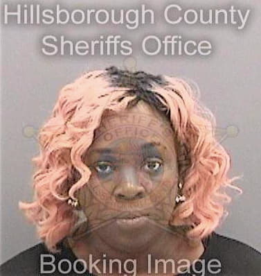 Hudson Tameka - Hillsborough County, FL 