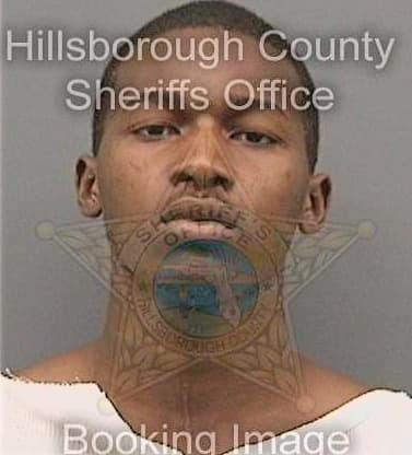 Sampson Kelvin - Hillsborough County, FL 