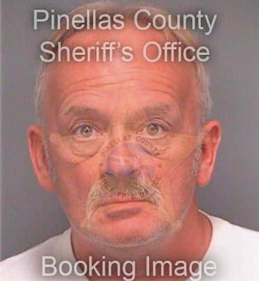 Jervis David - Pinellas County, FL 