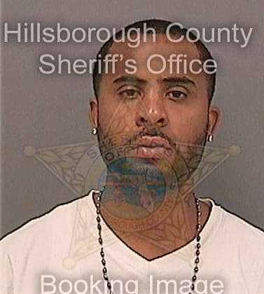 Tillett Ryan - Hillsborough County, FL 