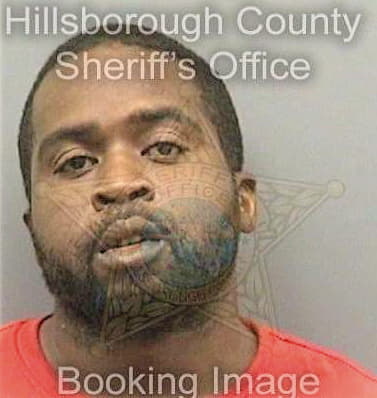 Mullins Marlon - Hillsborough County, FL 