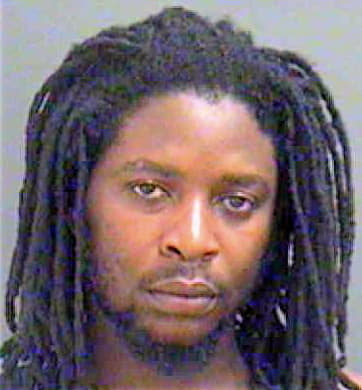 Johnson Damieon - Mecklenburg County, NC 