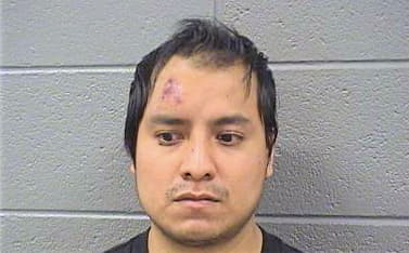 Arellano Jose - Cook County, IL 