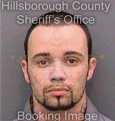 Ray Dylan - Hillsborough County, FL 