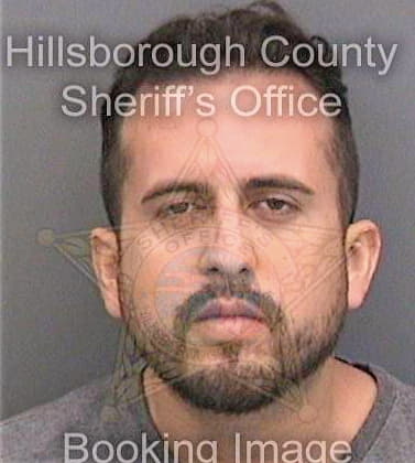 Mayorga Henry - Hillsborough County, FL 