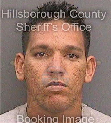 Sosafernandez Jesus - Hillsborough County, FL 