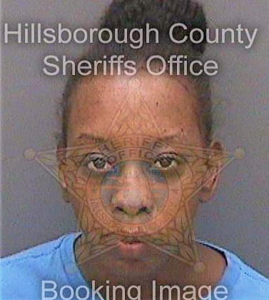 Johnson Larsha - Hillsborough County, FL 