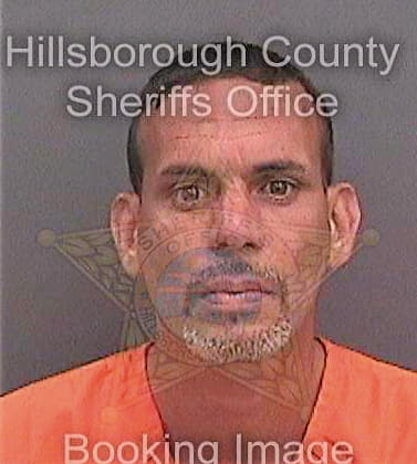 Loubriel Edwin - Hillsborough County, FL 